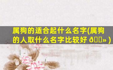 属狗的适合起什么名字(属狗的人取什么名字比较好 🌻 )